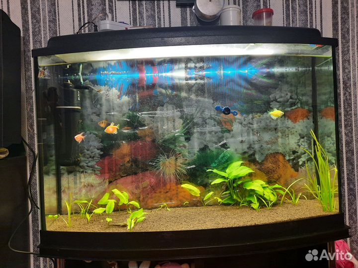 Аквариум
