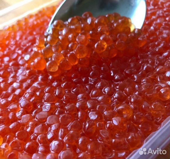 Красная икра оптом и в розницу