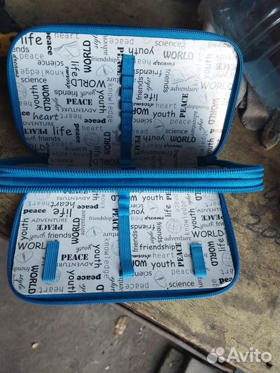 Пинал школьный