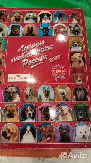 Иолис лучшие питомники России 2000