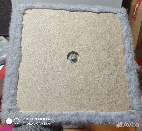 Когтеточка для кошек новая