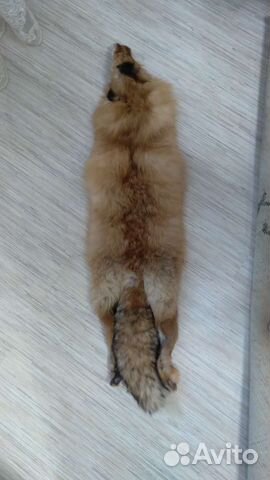 Шкура лисья