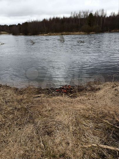 Дом 60 м² на участке 32 сот.