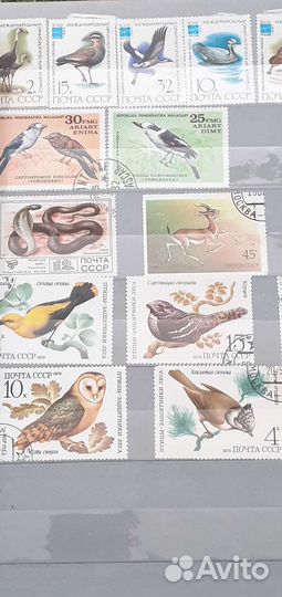 Почтовые марки разных стран