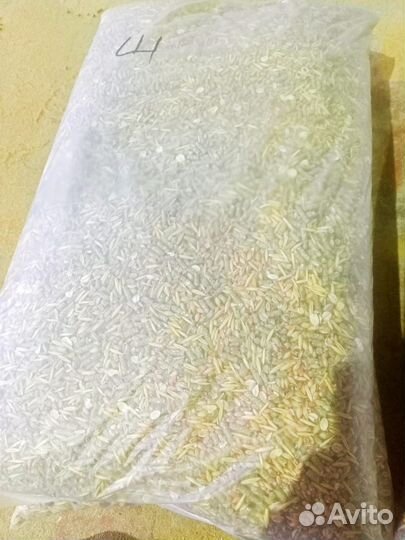 Корм для домашних грызунов и попугаев