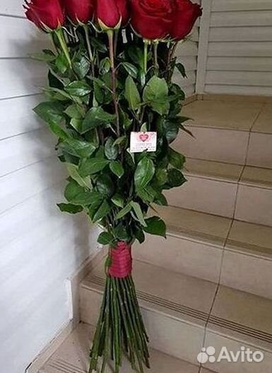 Высокие Розы Гиганты Доставка Круглосуточно