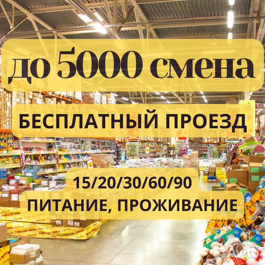 Вахта Москва сортировщик детских игрушек выезд