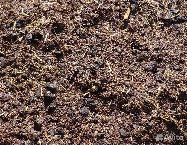 Бараний навоз