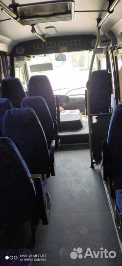 Заказ, аренда автобуса