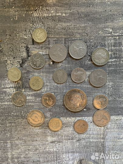 Монеты (центы) коллекционные