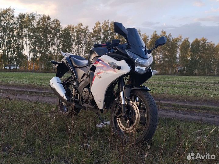 Ranger 2 CBR 250