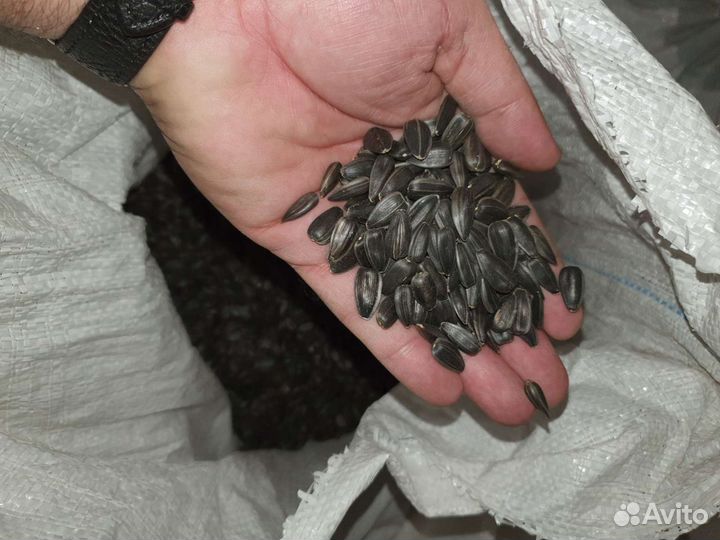 Жмых подсолнечный