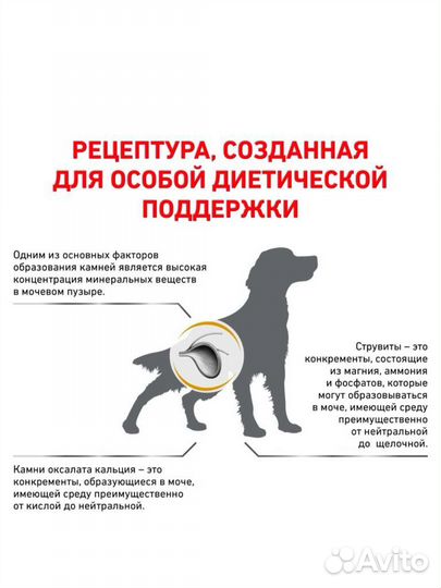 Корм для собак Royal Canin Urinary S/O 13 кг