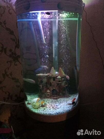 Аквариум целиндрический