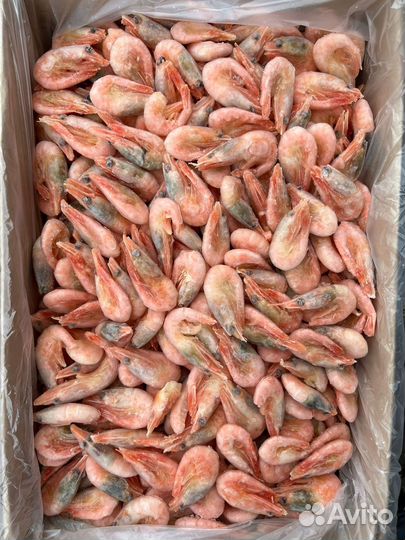 Креветка Северная (Гренландия 80-100 шт. )