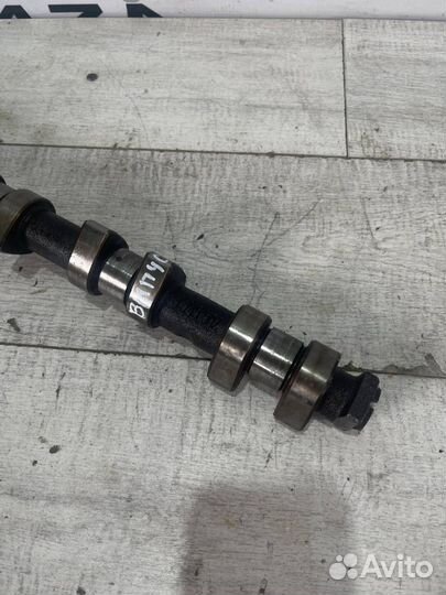 Распредвал выпускной BMW X5 E53