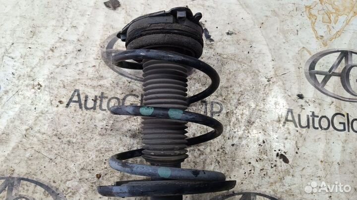 Амортизатор/стойка передняя левая Nissan Teana