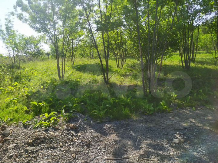 Участок 15 сот. (СНТ, ДНП)