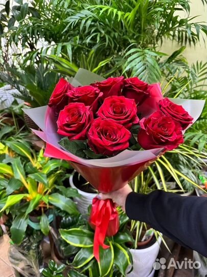 Розы на 14 февраля предзаказ Волгоград
