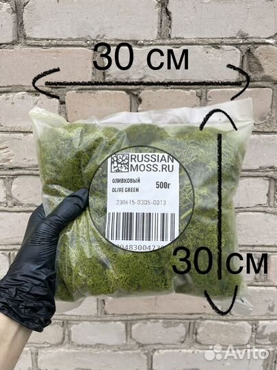 Стабилизированный Мох: Большой выбор цветов, 500г