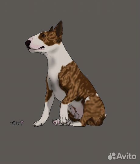 Нарисую вашего питомца