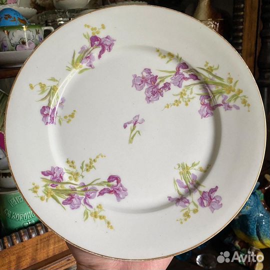 Тарелки Лимож Limoges Франция Ирисы