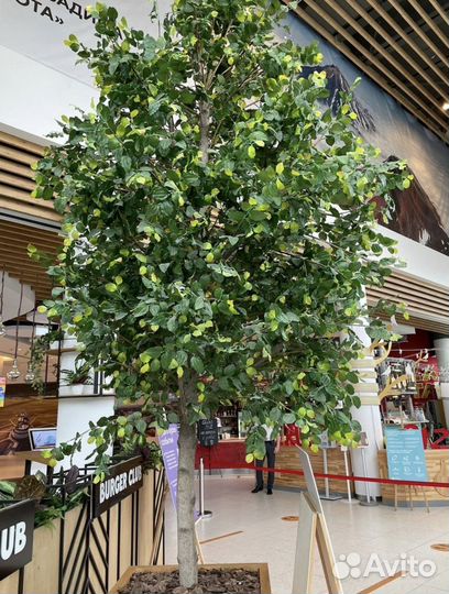 Искусственные деревья, кусты и цветы в г.Оренбурге