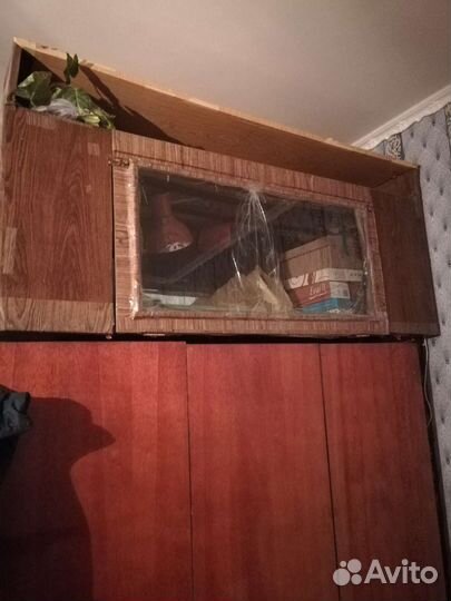 Террариум для сухопутной черепахи