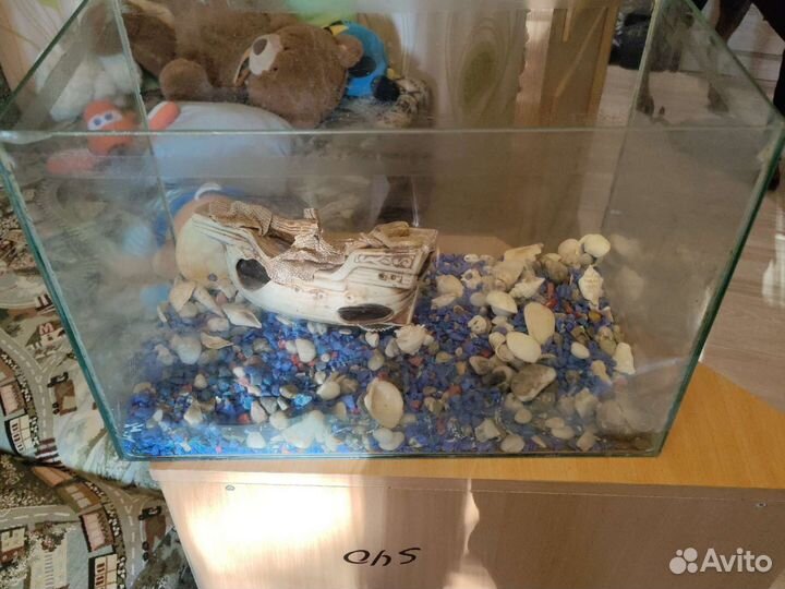 Аквариум