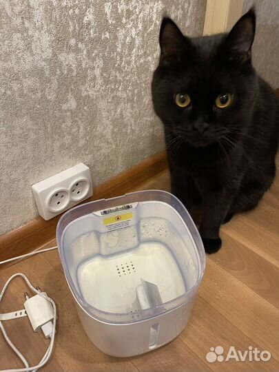 Умная поилка-фонтан Petroneer