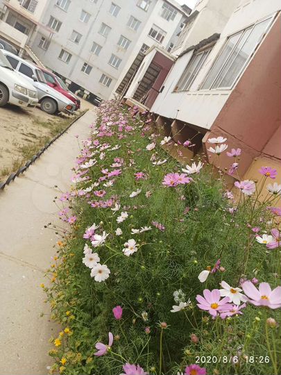 Аукцион: 2-к. квартира, 58,5 м², 3/5 эт.