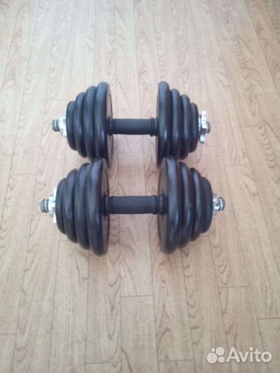 Гантели разборные по 10 кг