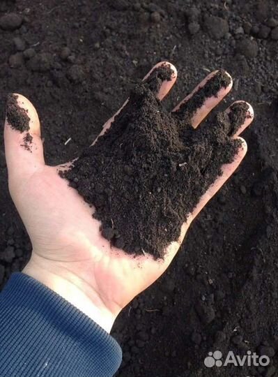 Чернозем плодородный, грунт, земля, суглинок и т.д