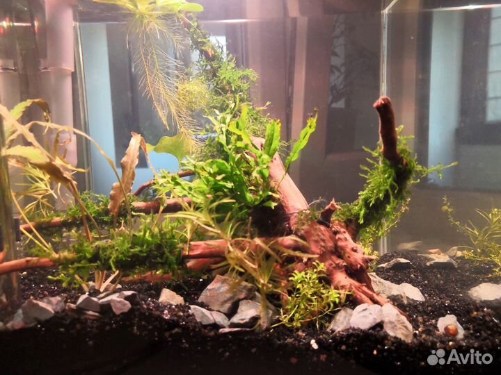 Светильник для аквариума, ремонт, фитосветильники