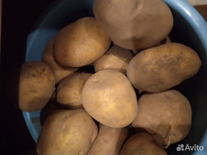 Продам картофель с доставкой