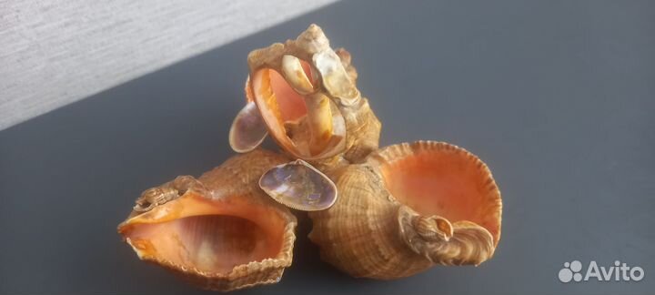 Пепельница СССР