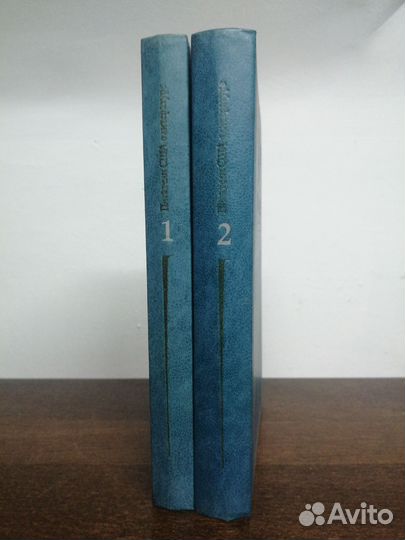 Писатели США о литературе. В 2х томах