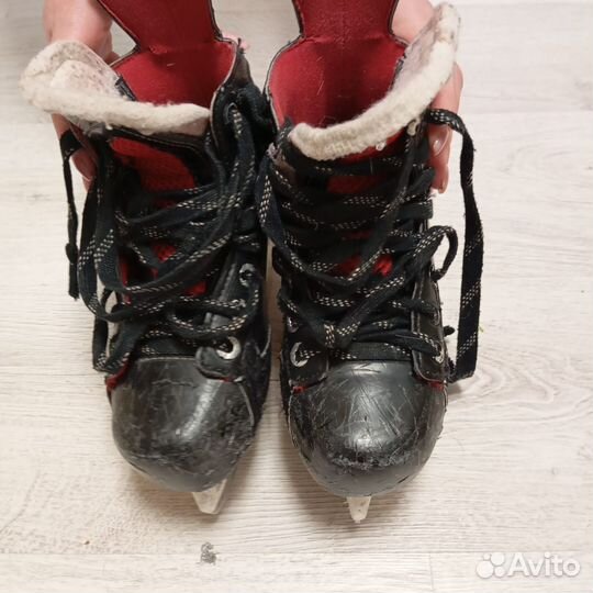 Коньки bauer vapor x500