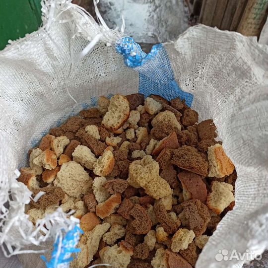 Товары для животных