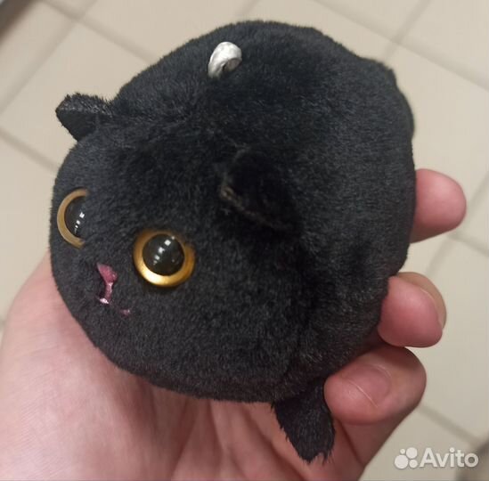 Кот с вращающимся хвостом (из тик тока)