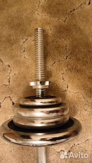 Штанга с блинами Torneo