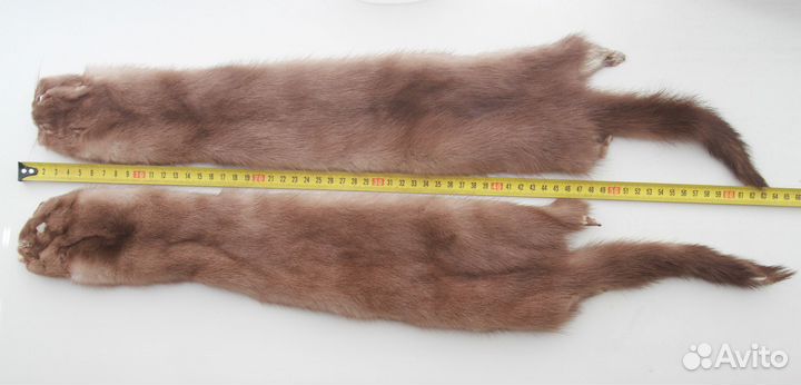 Шкурка норки