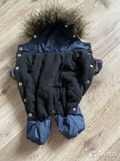 Одежда для собак