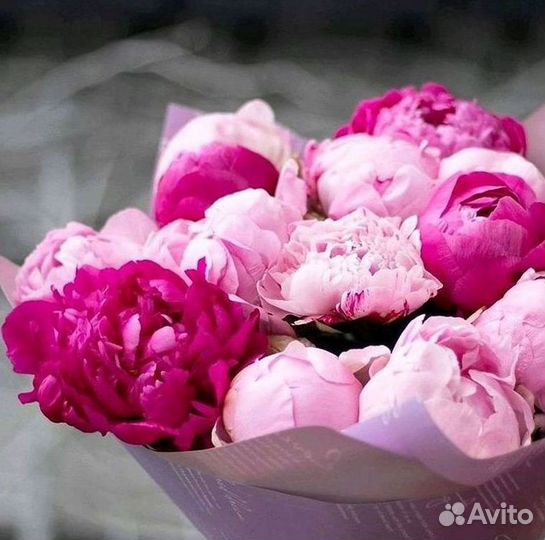 Пионы Букет пионов Доставка цветов