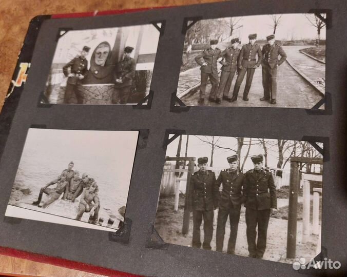 Фотографии в альбоме