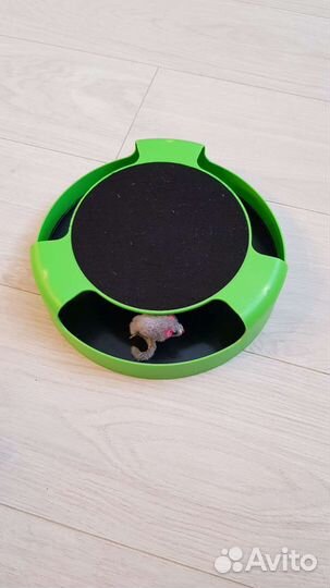 Принадлежности для котят