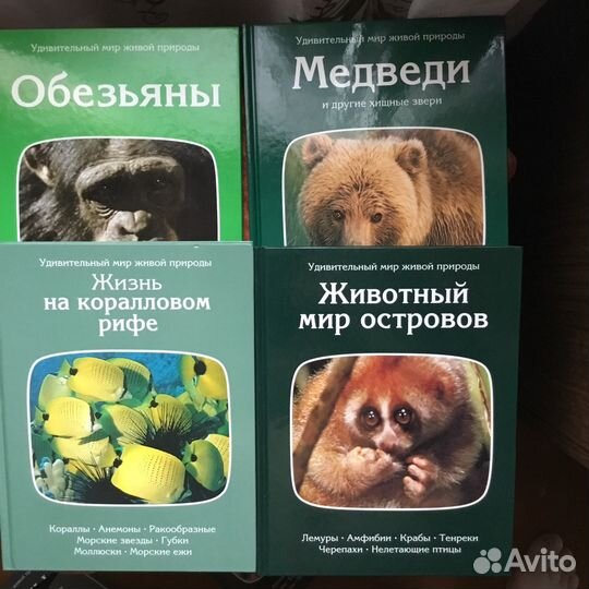 Удивительный мир живой природы