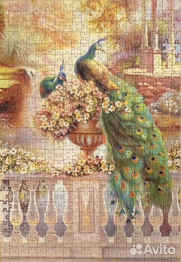 Пазлы Hatber Павлины 500 деталей