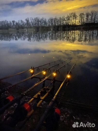 Сигнализаторы поклевки Carp pro Q5 4+1