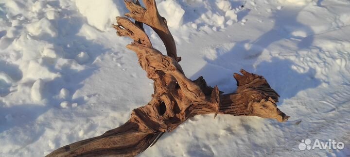 Коряги для аквариума